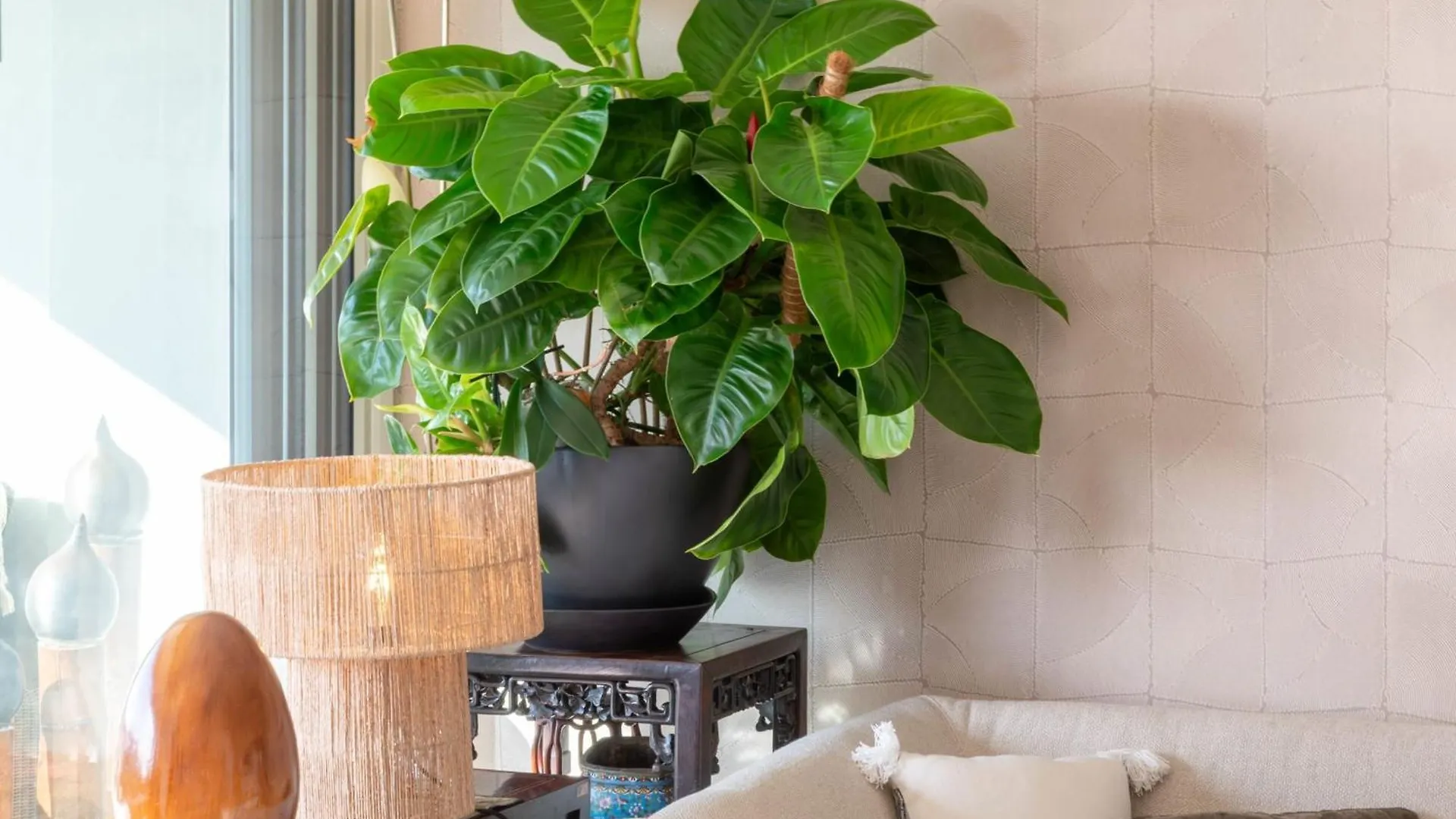 Luxury 2-Br Apartment With Sea View Cannes